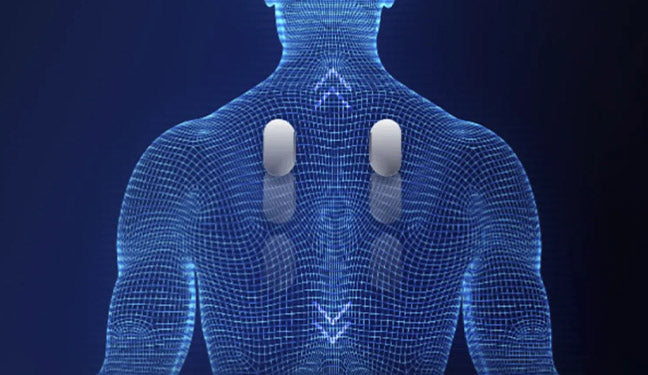 Osaki Flagship Duo 4D Massage Chair